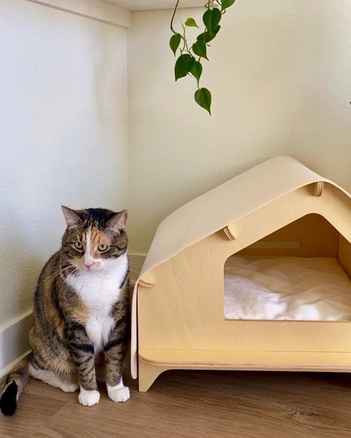 خانه گربه لوکس کبین (LuxCabin) - Image 10